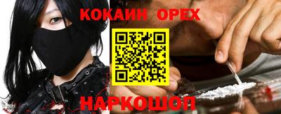 гидра Брянск