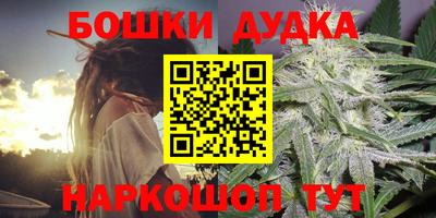 гидра Брянск
