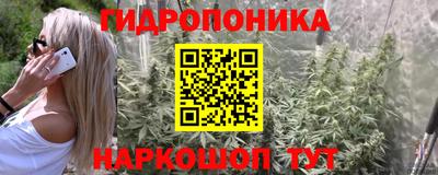 прущая мука Боровичи