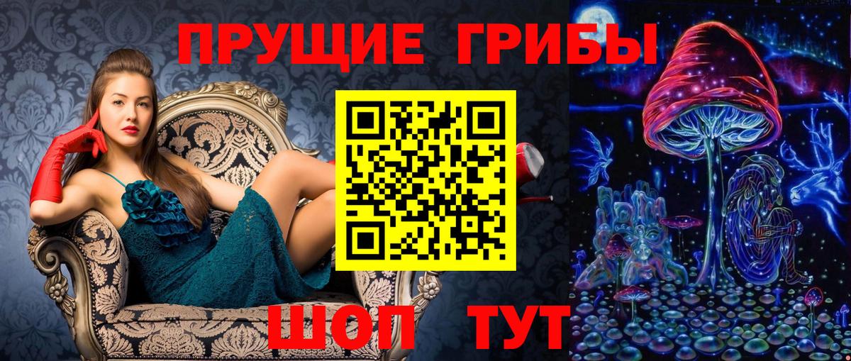 Галлюциногенные грибы Psilocybine cubensis  купить наркотики цена  Вышний Волочёк  Вход с VPN 